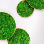 G-Circle - panneau acoustique naturel